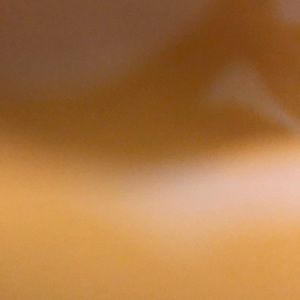 Meet your Posher, Nylah